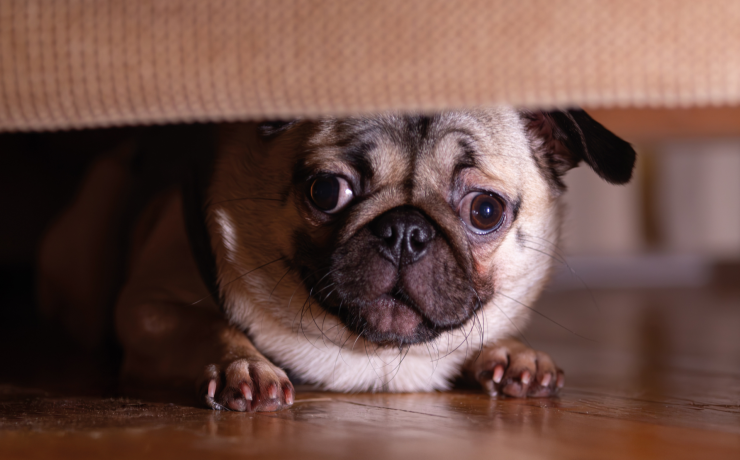 Diseño sin título (13)